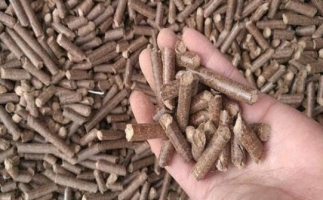 鋸末顆粒機生物質(zhì)燃料與燃煤對比情況如何？
