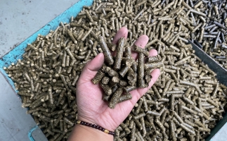 木屑顆粒機廠家告訴你生物質(zhì)顆粒燃料燃燒不充分的問題，該如何解決?