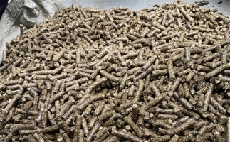 為什么很多人想了解木屑顆粒機加工的燃料顆粒作用？
