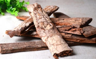 木材加工廠的廢棄物刨花能夠用來做什么？鋸末顆粒機告訴你