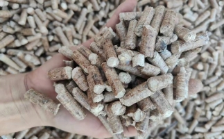 木材加工廠木屑堆積如山，環(huán)保部門令趕緊處理怎么辦？有它就夠了