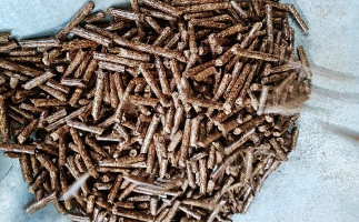 秋季到來，儲存鋸末顆粒機生物質(zhì)顆粒的正確方式